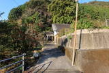 土佐 岡本城の写真