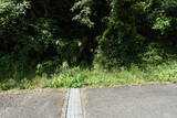 土佐 斧積城の写真