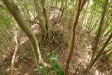 土佐 斧積城の写真
