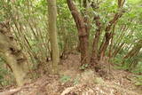 土佐 斧積城の写真