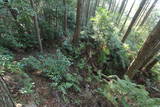 土佐 佐川城の写真