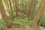 土佐 清水城の写真