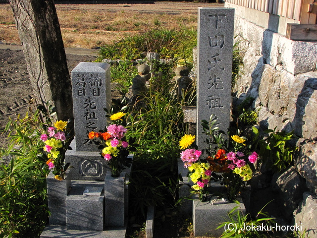 土佐 下田土居城の写真