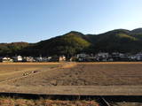 土佐 下田土居城の写真