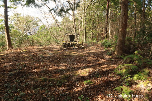 土佐 新土居城の写真