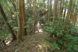 土佐 白川城の写真