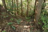 土佐 白川城の写真