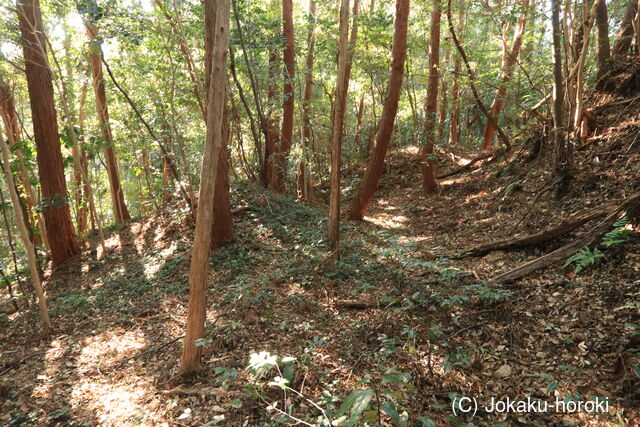 土佐 曽我山城の写真