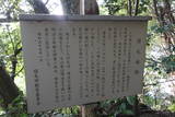土佐 宿毛城の写真