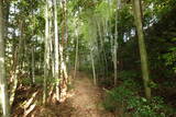 土佐 斗賀野城の写真