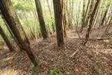 土佐 津野川辰巳城の写真