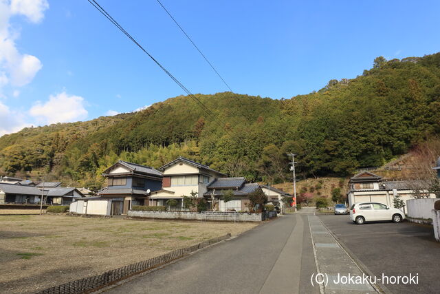 土佐 津野氏土居の写真