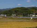 土佐 植村城の写真