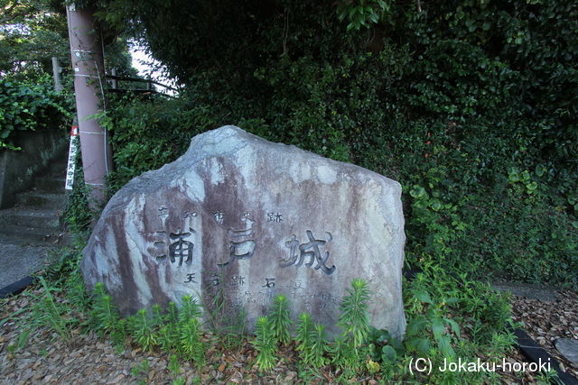 土佐 浦戸城の写真