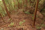 土佐 八幡城の写真