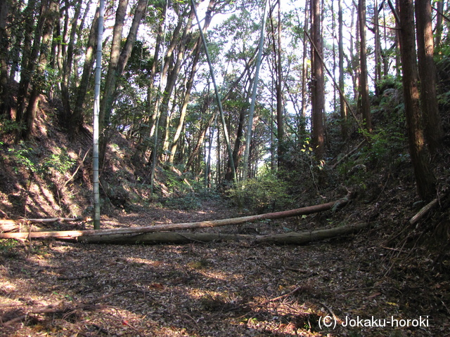 土佐 山田城(香美市)の写真