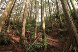 土佐 山川土居城の写真