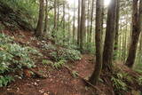 土佐 山川土居城の写真