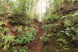 土佐 山川土居城の写真