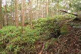 土佐 山川土居城の写真