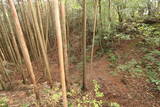 土佐 山川土居城の写真