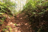 土佐 山川土居城の写真