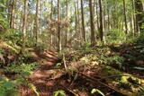 土佐 山川土居城の写真