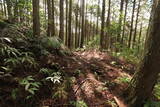 土佐 山川土居城の写真