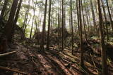 土佐 山川土居城の写真