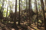 土佐 山川土居城の写真