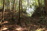 土佐 山川土居城の写真