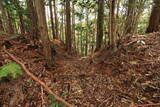 土佐 山川土居城の写真