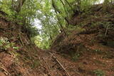 土佐 山川土居城の写真