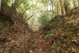 土佐 山川土居城の写真