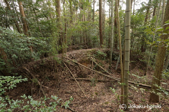 土佐 山田城(宿毛市)の写真