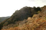 土佐 横矢城の写真