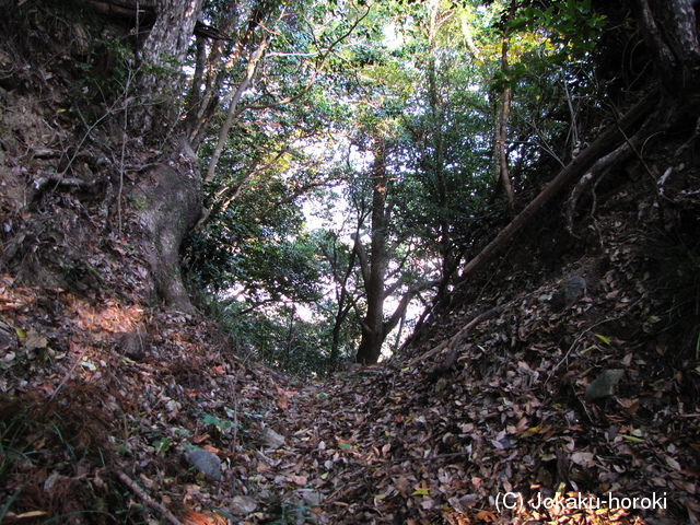 土佐 雪ヶ峰城の写真