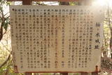 土佐 柚ノ木城の写真