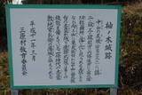 土佐 柚ノ木城の写真