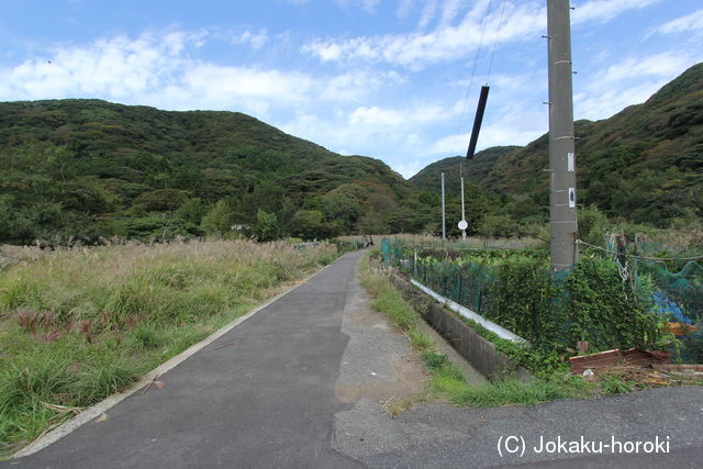 対馬 伊奈在庁の写真