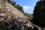 対馬 金田城の写真
