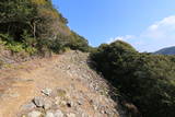 対馬 金田城の写真