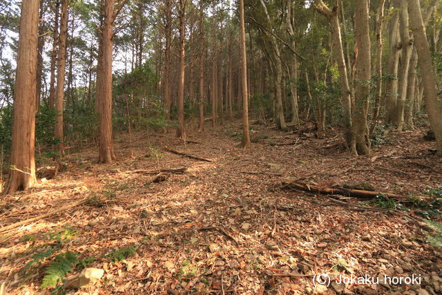 対馬 大山城の写真