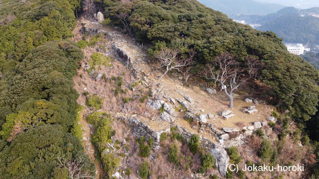 対馬 清水山城の写真