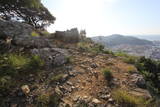 対馬 清水山城の写真