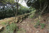 対馬 清水山城の写真