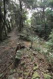 対馬 清水山城の写真