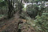 対馬 清水山城の写真