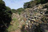 対馬 清水山城の写真