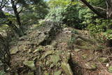 対馬 清水山城の写真